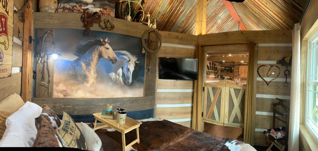Bed and Breakfast Fox Pass Cabins à Hot Springs Extérieur photo